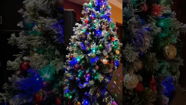 Скрипка Бахтияр Москва смотреть онлайн