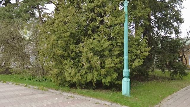 Богач поменял свою оборзевшую дочь на сына бедного ЗЭКа… А когда увидел ее через месяц, обомлел смотреть онлайн