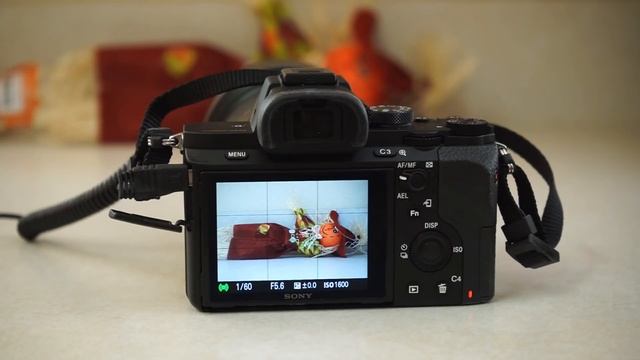 Sony a7II Shutter test смотреть онлайн