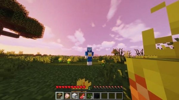 How to change your skin in Minecraft (Java Edition) 2021