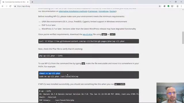 How To Install WP CLI on Linux in Under a Minute смотреть онлайн