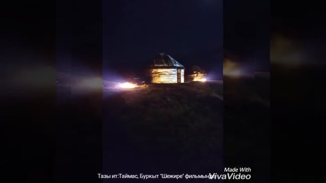 это моя собака тазы на съемках, как и я модель\актер смотреть онлайн