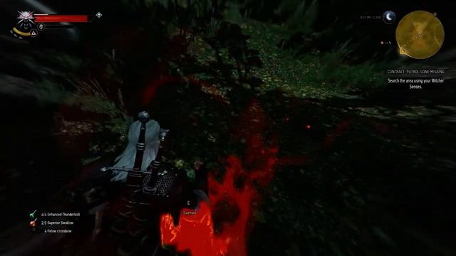 The Witcher 3 NEW GAME+ Walkthrough Part 18 - No Commentary - Patrol Gone Missing смотреть онлайн