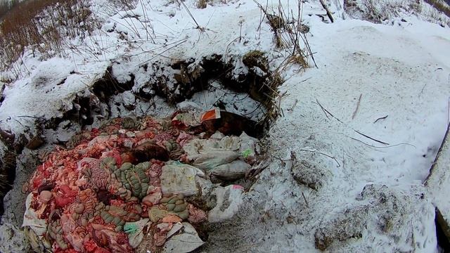 Скотомогильник смотреть онлайн