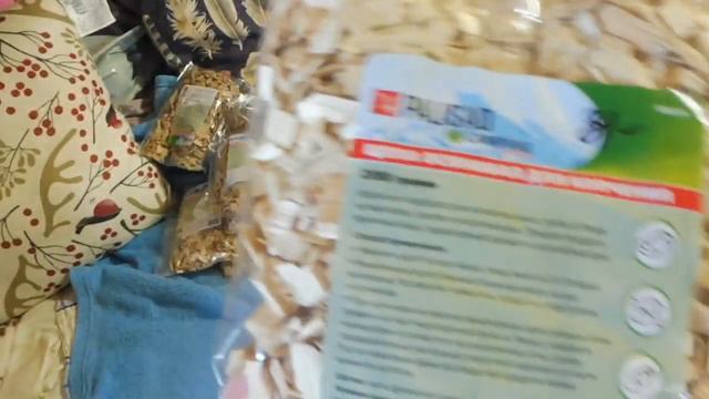 Генеральная уборка у черепах 10/04/2022 смотреть онлайн