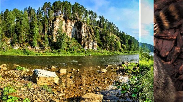 ✔ *АрхиСРОЧНО* «Началось ВОЗНЕСЕНИЕ в 5 Измерение !» #Вознесение смотреть онлайн