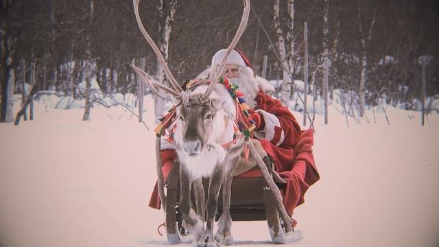 Best Reindeer Rides Of Santa Claus ?? Lapland  Meet Father Christmas In Finland For Kids Best-of