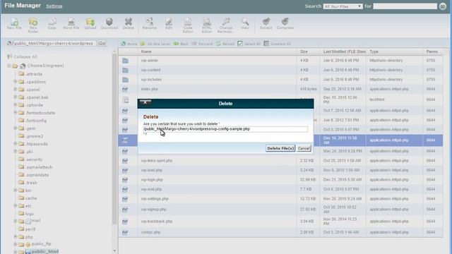 How To Delete Files On The Server смотреть онлайн
