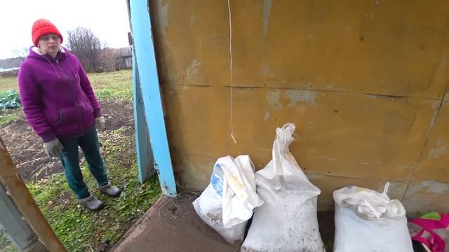 УТРЕННЯЯ ДОЙКА. ОКТЯБРЬ 2022 года ЖИЗНЬ В СИБИРСКОЙ ГЛУБИНКЕ. 547 серия ИЗ ГОРОДА В ДЕРЕВНЮ смотреть онлайн