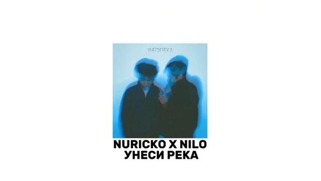 Nuricko X NILO Унеси река (час)