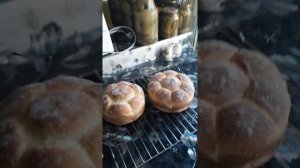 Сырная бриошь на закваске  левито мадре, мой удачный эксперимент.