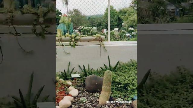 Cactus Garden, Statue of Unity, Kevadiya, Gujarat смотреть онлайн