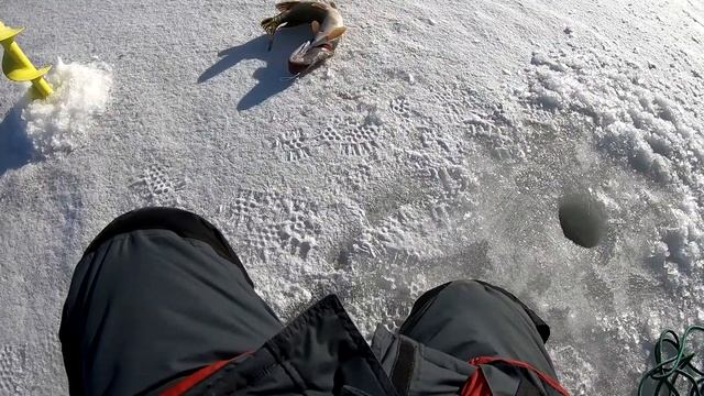 Ловля щуки ранней весной на жерлицы смотреть онлайн