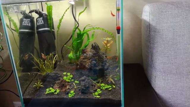 Ошибки при запуске аквариума смотреть онлайн