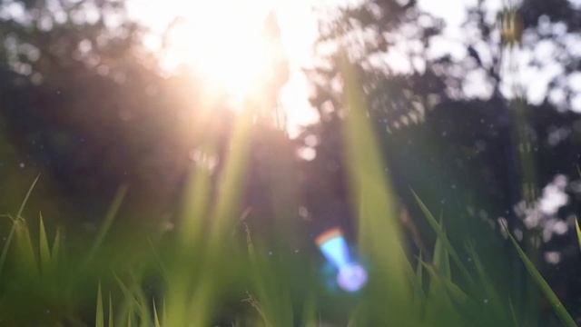 Поэтический марафон «Поэзия Д. Мережковского» стих-е "Бог" смотреть онлайн