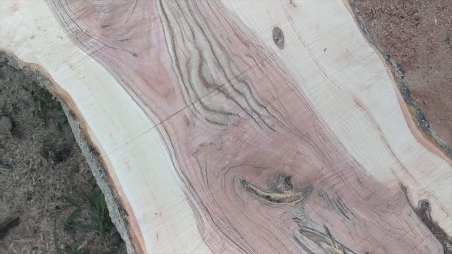 Слэбы дерева Ясень