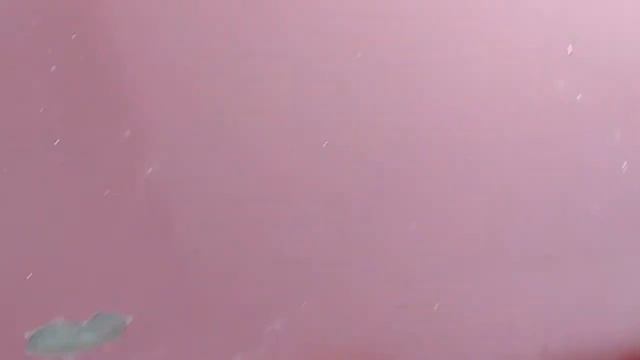 Интро И кривые руки смотреть онлайн