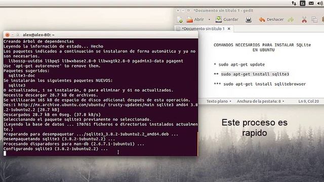 Descargar SQLite en UBUNTU 14.04 смотреть онлайн