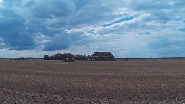 скирдование соломы на зимний период смотреть онлайн
