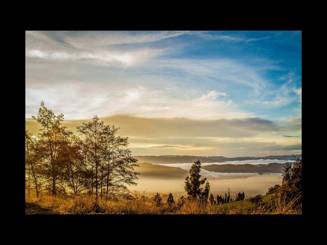 Tomorrowville - Josh Kirsch смотреть онлайн