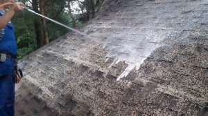 Мох на крыше. Как избавиться за 1 день? Бережная очистка. 2018 г.