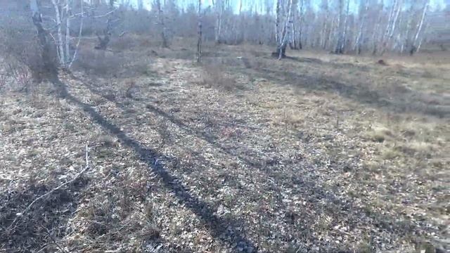 МЕДЬ есть, СЕРЕБРО есть, Золота нет))).....(Minelab Equinox 600) смотреть онлайн