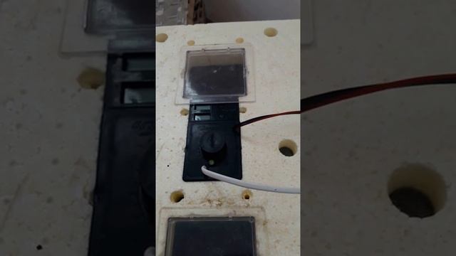 Как регулировать температуру в инкубаторе Золушка