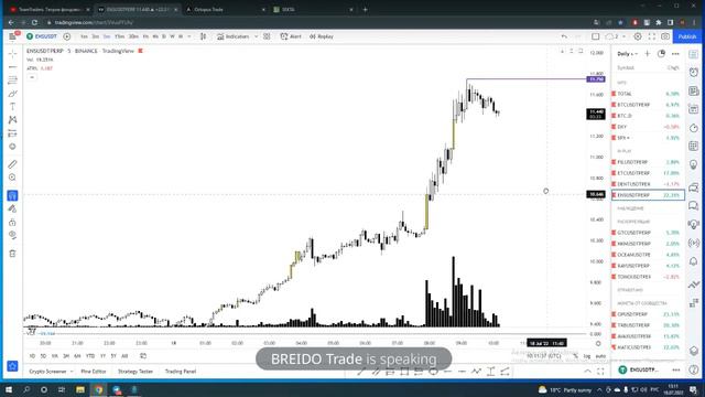 Бесплатный брифинг по крипторынку от SIREYAN смотреть онлайн