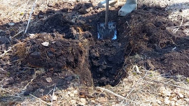 Коп металлолома, 23 апреля 2023 года. смотреть онлайн