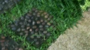 Таиланд, Пхукет.  Отель Chivatara Resort Phuket (Таиланд Пляж Банг Тао)