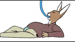 Bunny Water Inflation