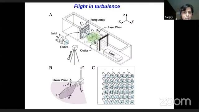 IAPT Online Lecture Series 7 The mechanics of insect flight by Dr Sanjay Sane NCBS Bengaluru смотреть онлайн