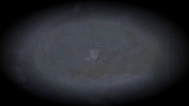 doeѕ ιт ғeel lιĸe a тrιal ? [Don't Starve AMV] смотреть онлайн