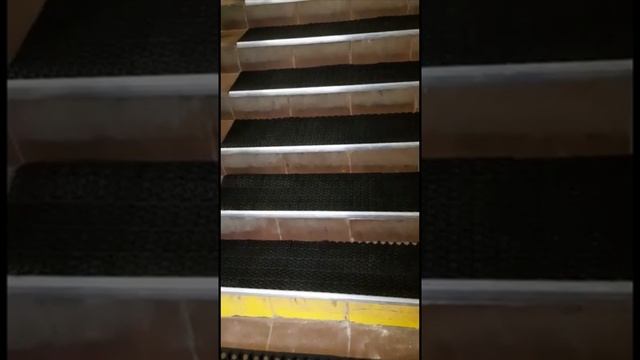 Противоскользящие и грязезащитные покрытия: два в одном + защита ступеней от сколов смотреть онлайн