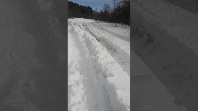 Хаски друг выручай.