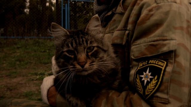 С днём рождения, Женя смотреть онлайн