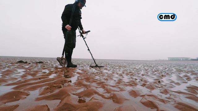 COILTEK NOX 15 Minelab Equinox Coils. First Beach Detecting Test смотреть онлайн