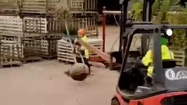 Садовый центр Еврофлора смотреть онлайн