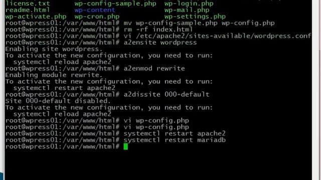 How to Install WordPress on Ubuntu 18 (WordPress is website creation software) смотреть онлайн