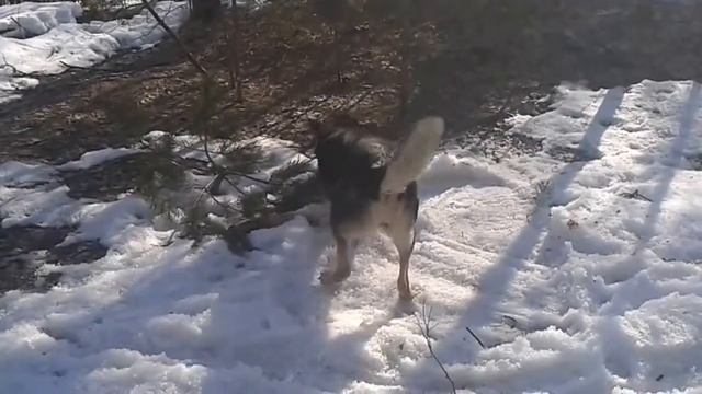 Лара ларгус смотреть онлайн