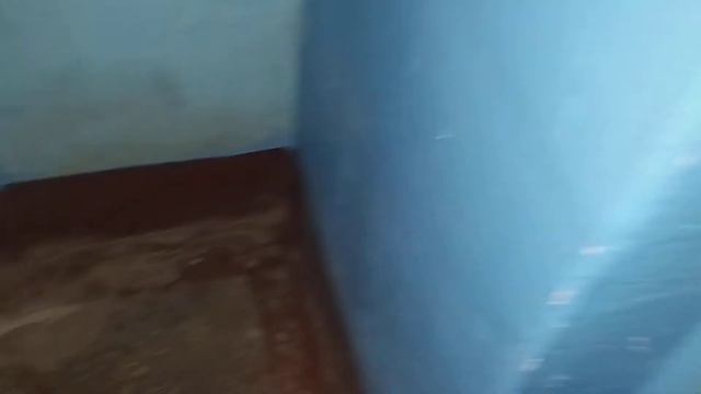не убрано с 06.02.21 по 26.02.21 2 подъезд. смотреть онлайн