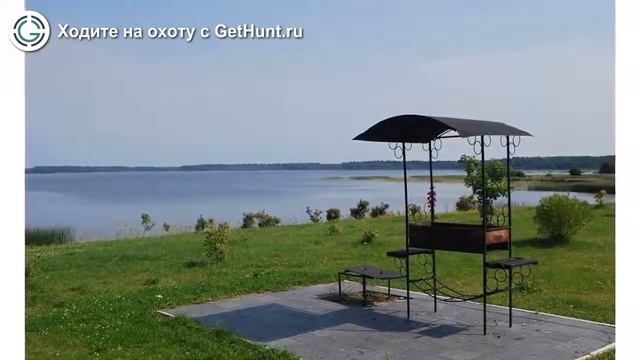 Охота в Тверской области  ФМООО Шлино охота на лося в Тверской области охота на тетерева