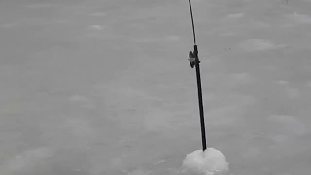 Ловля щуки на жерлицы (Мастер класс Андрюхи Пирожкова) смотреть онлайн