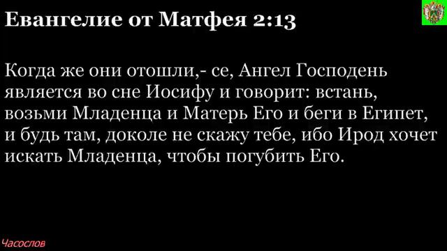 Аудиокнига. Библия. Новый Завет. ЕВАНГЕЛИЕ ОТ МАТФЕЯ. Глава 2 смотреть онлайн