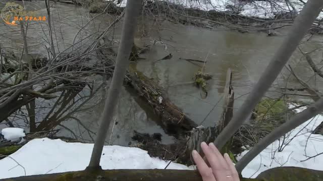 Ловля Карпа весной на донку | Ловля Карпа на кукурузу | Часть 1 | Карпфишинг для начинающих