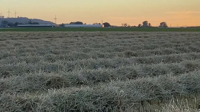 Стих: „сегодня“ смотреть онлайн