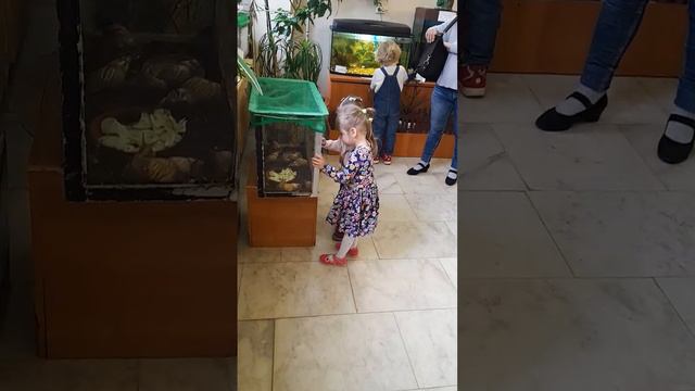 1000000249.mp4