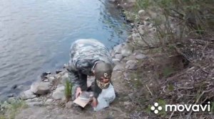 Ловля Сома на "Сомовки"