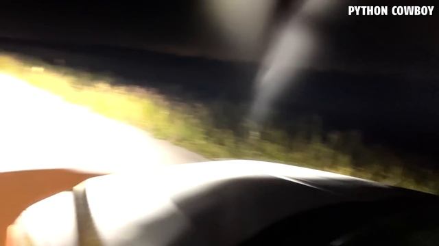 Caught Two Pythons Hunting On The Open Road In The Florida Everglades смотреть онлайн