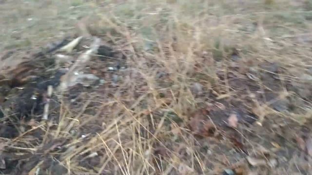 Костёр ИЗ веток смотреть онлайн